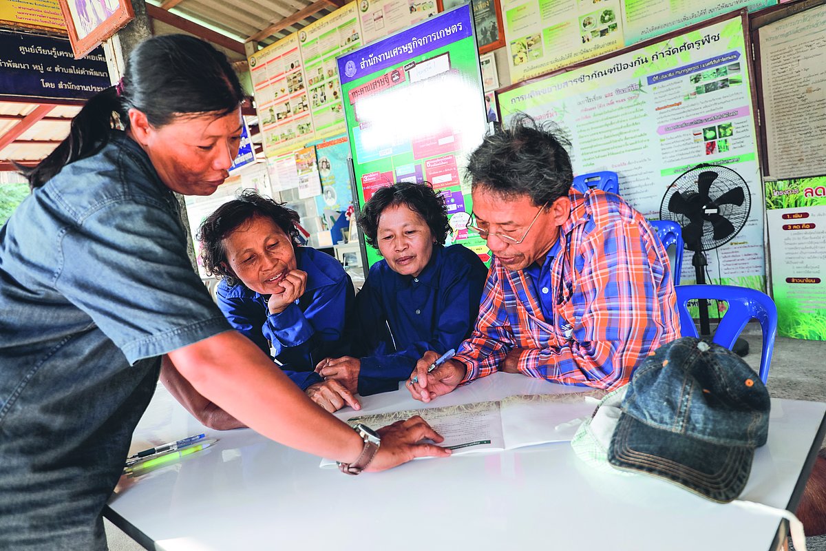 Foto: GIZ: Umstellung zu nachhaltigem Reisanbau 3