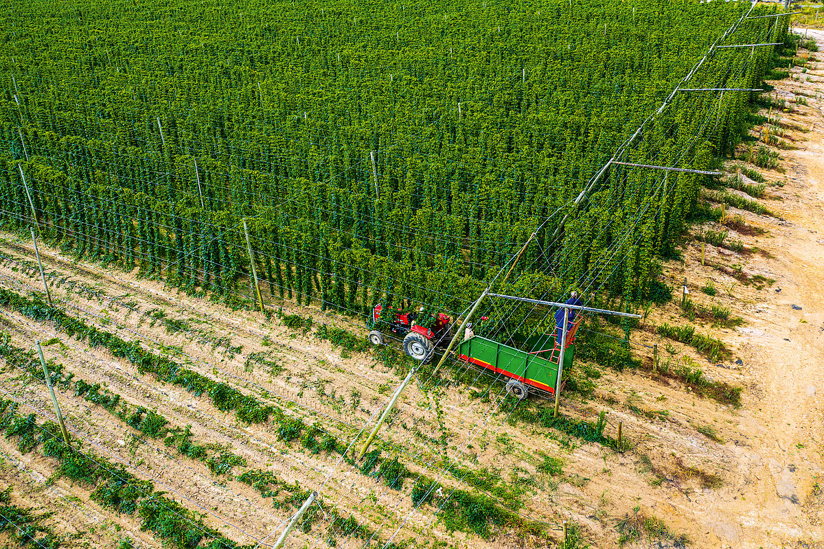 Foto: GIZ: gemeinsamer Versuch Wasser zu schützen und Grundwasserspiegel anzuheben 5