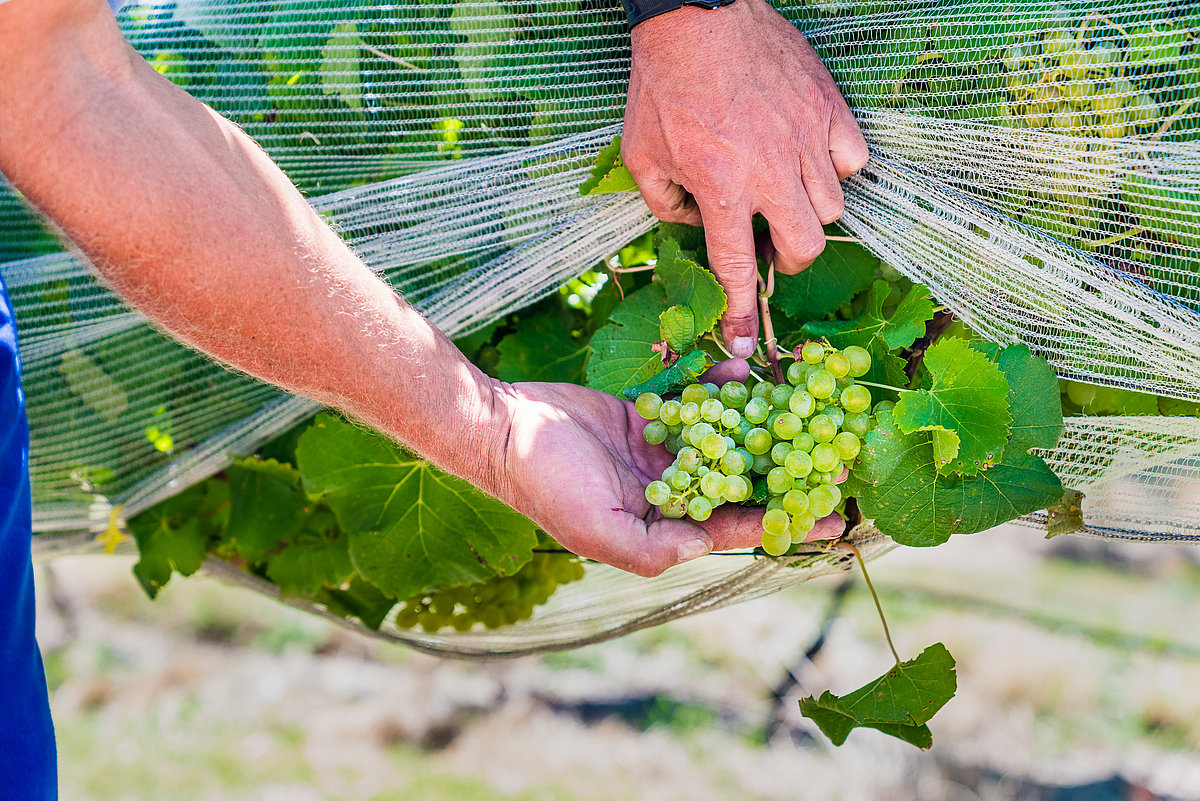 Foto: GIZ: gemeinsamer Versuch Wasser zu schützen und Grundwasserspiegel anzuheben 2