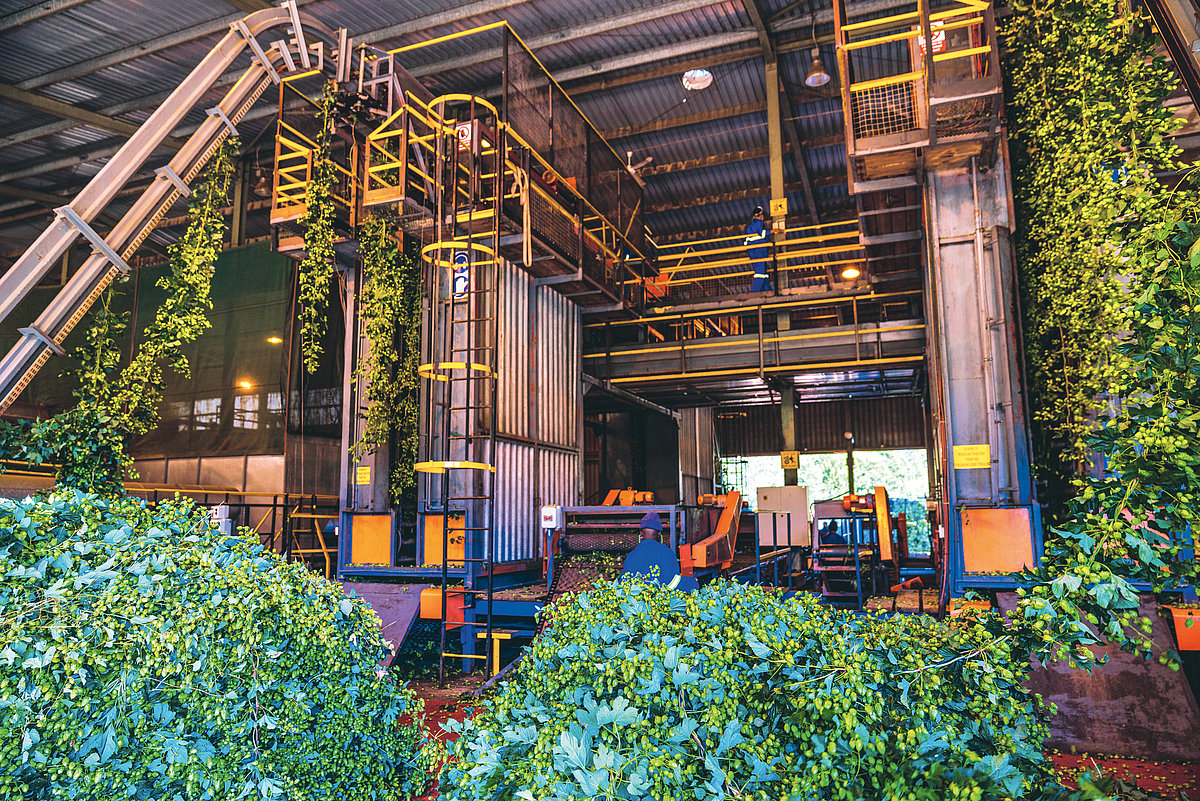 Foto: GIZ: gemeinsamer Versuch Wasser zu schützen und Grundwasserspiegel anzuheben 3