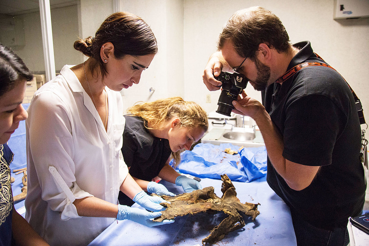 Foto: GIZ: Unsere Arbeit weltweit, Projekt Mexiko, Rechtsmediziner*innen Guadalupe de la Peña
