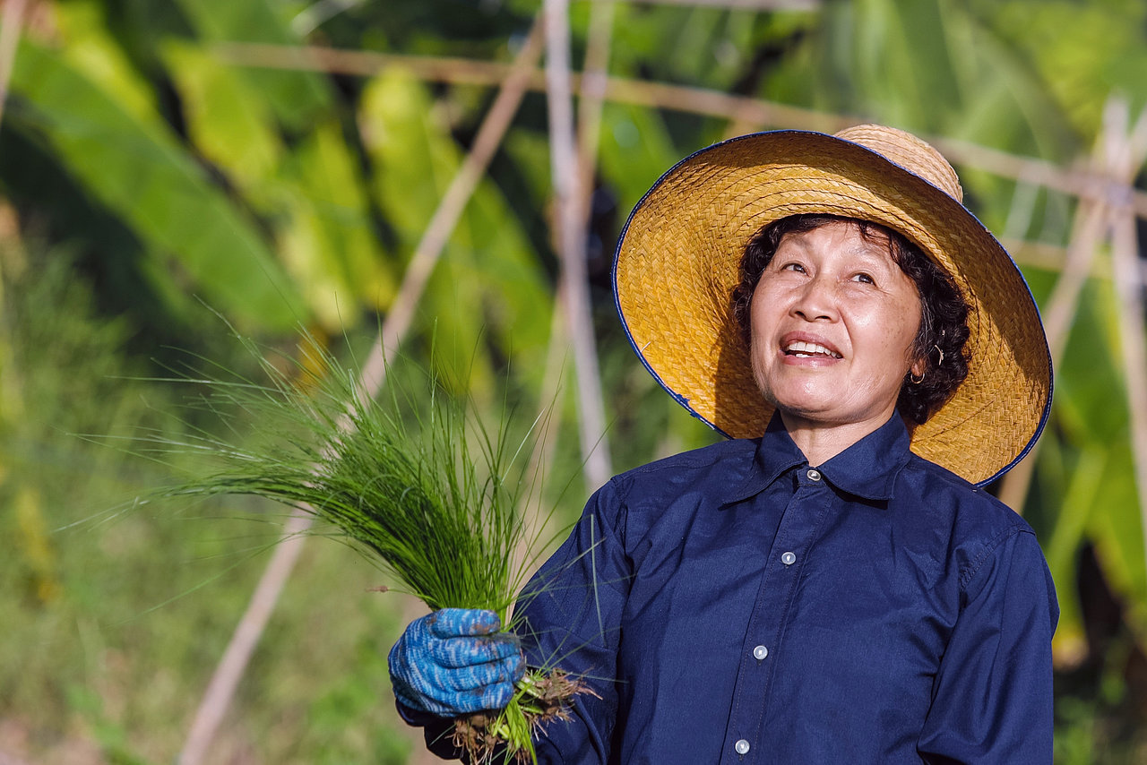 Foto: GIZ: Nachhaltiger Reisanbau