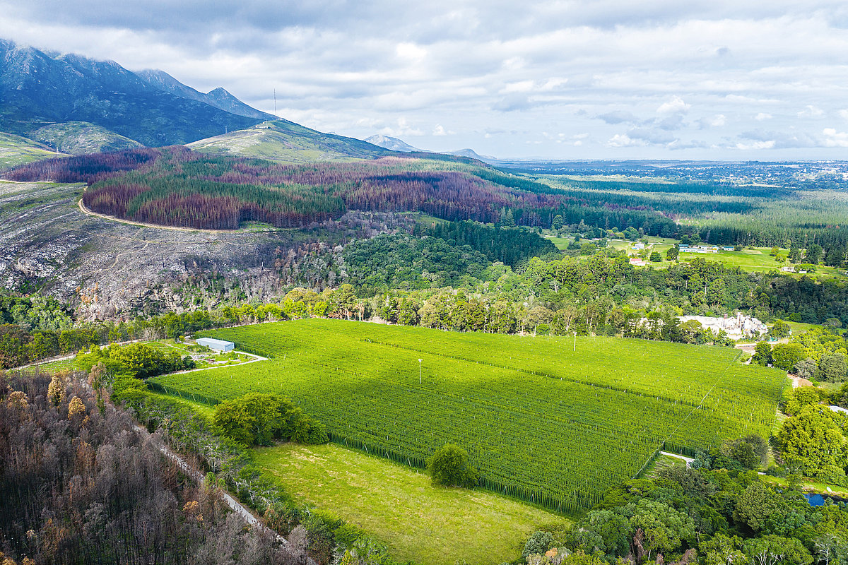 Foto: GIZ: gemeinsamer Versuch Wasser zu schützen und Grundwasserspiegel anzuheben 4