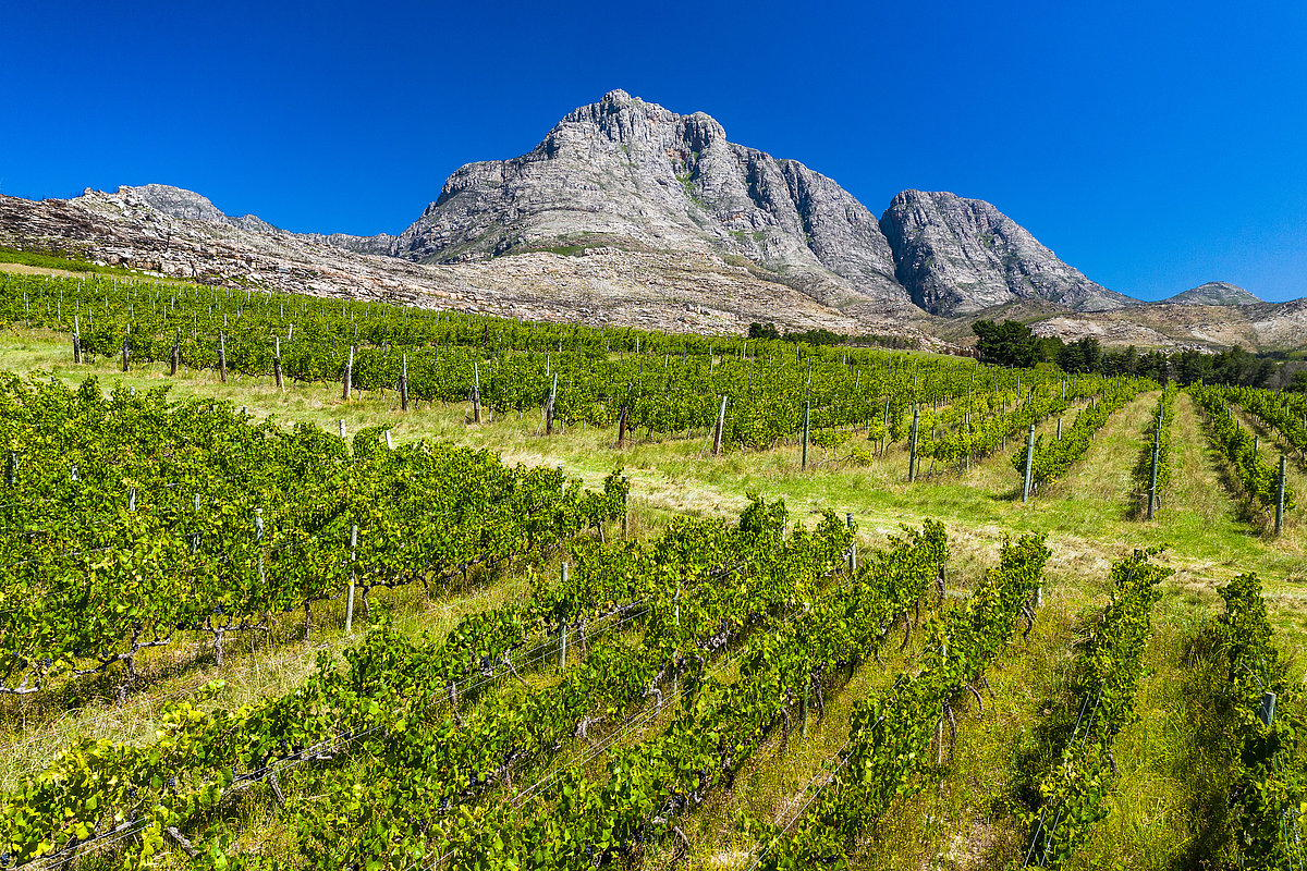 Foto: GIZ: gemeinsamer Versuch Wasser zu schützen und Grundwasserspiegel anzuheben 1