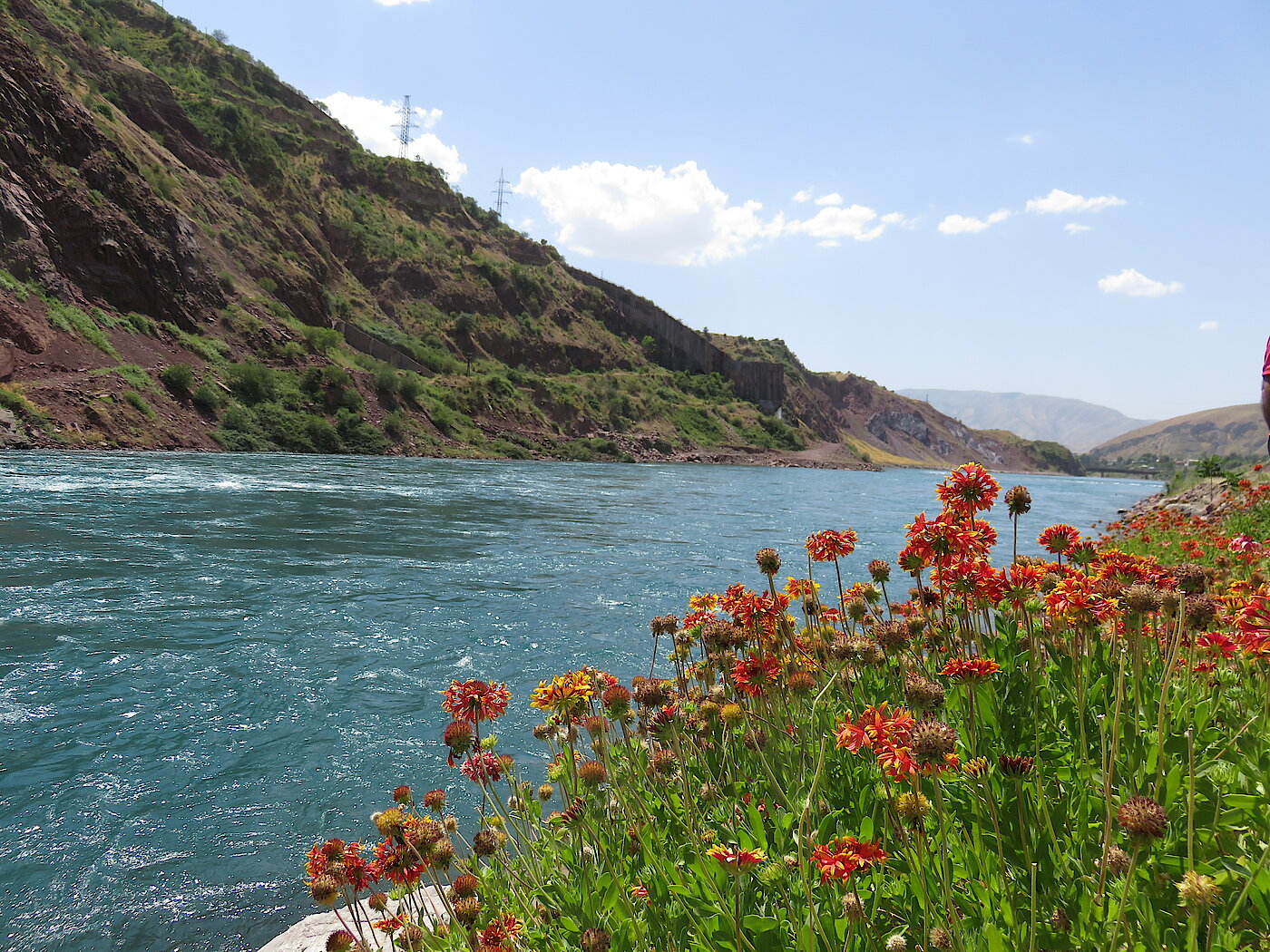 Foto: Blick auf einen Fluss mit Blumen am Ufer und Hügeln.