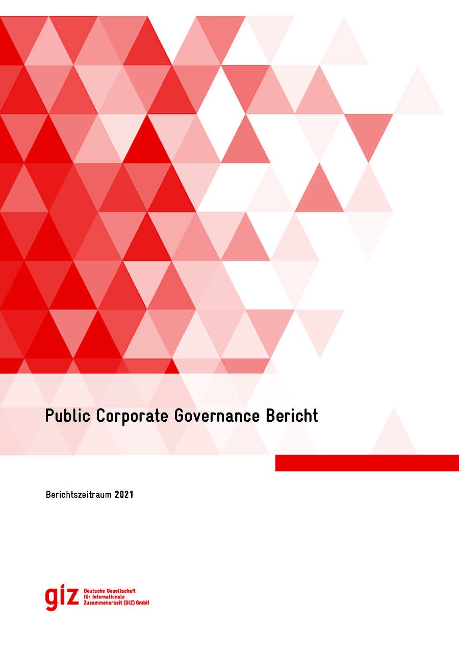 Titelseite: GIZ-Bericht “Public Corporate Governance”