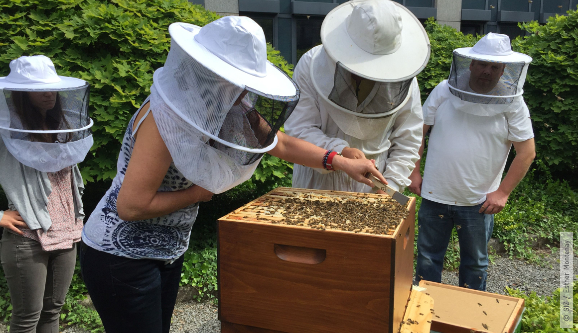 content_nachhaltigkeit_engagement_bienengruppe_2