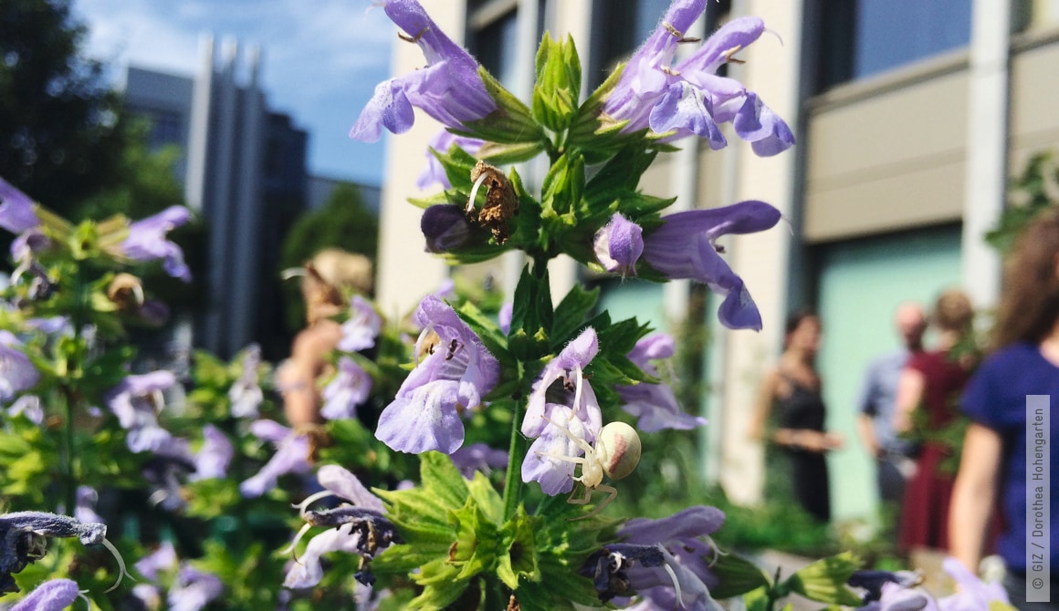 content_u.nachhaltigkeit_gleichgewicht_4